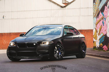BMW F10 VIP