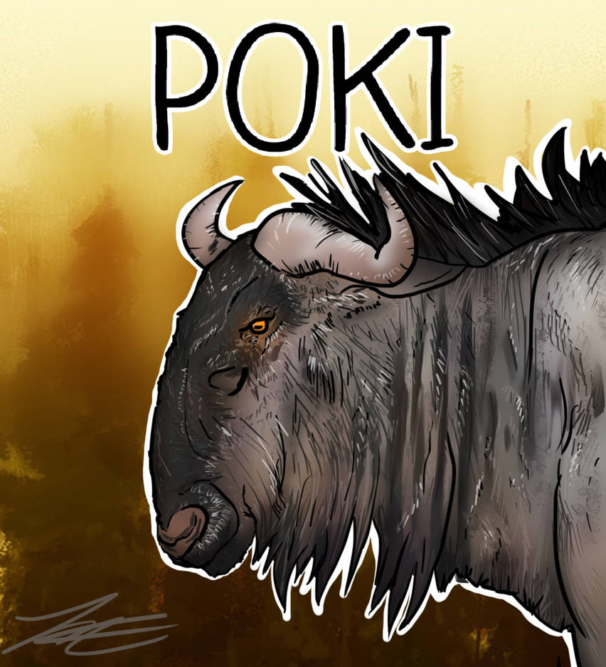 Commission- Poki by Vendicci on DeviantArt