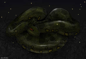 Green Anaconda