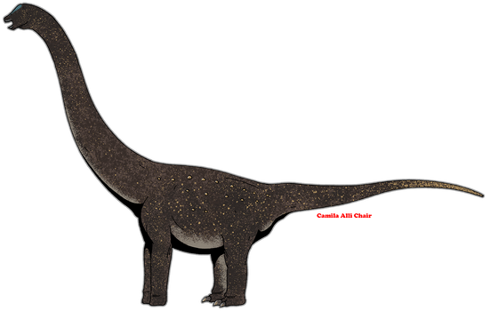 'Aegyptosaurus sp.'