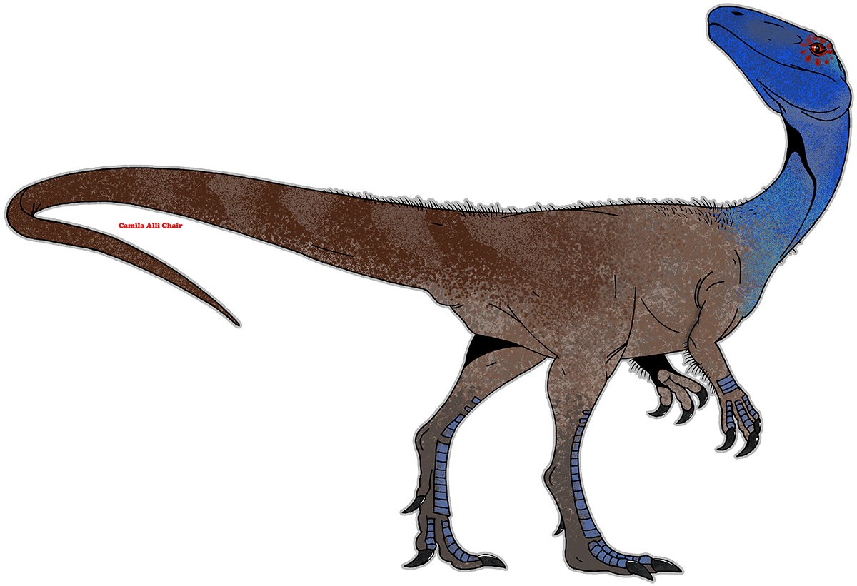 'Elaphrosaurus iguidensis' by FreakyRaptor on DeviantArt