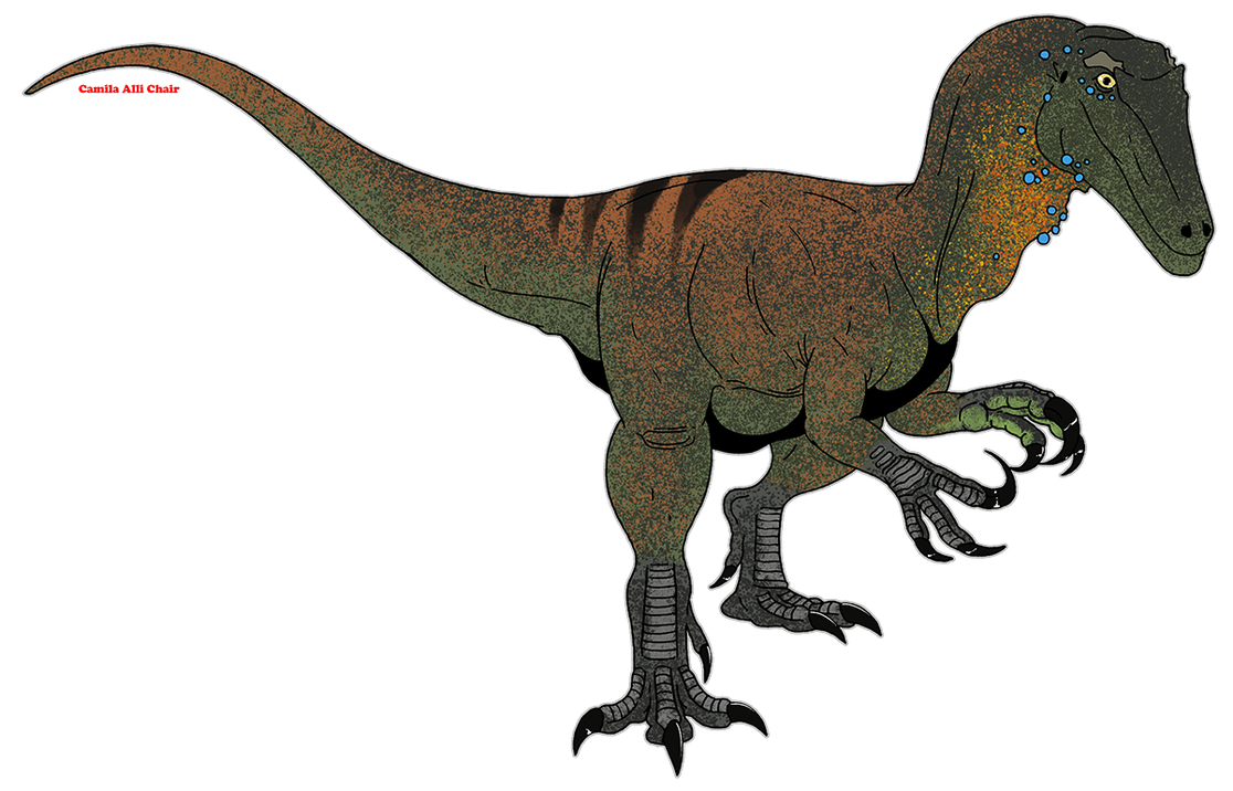Mega Raptidon Megaraptoridae by FreakyRaptor on DeviantArt