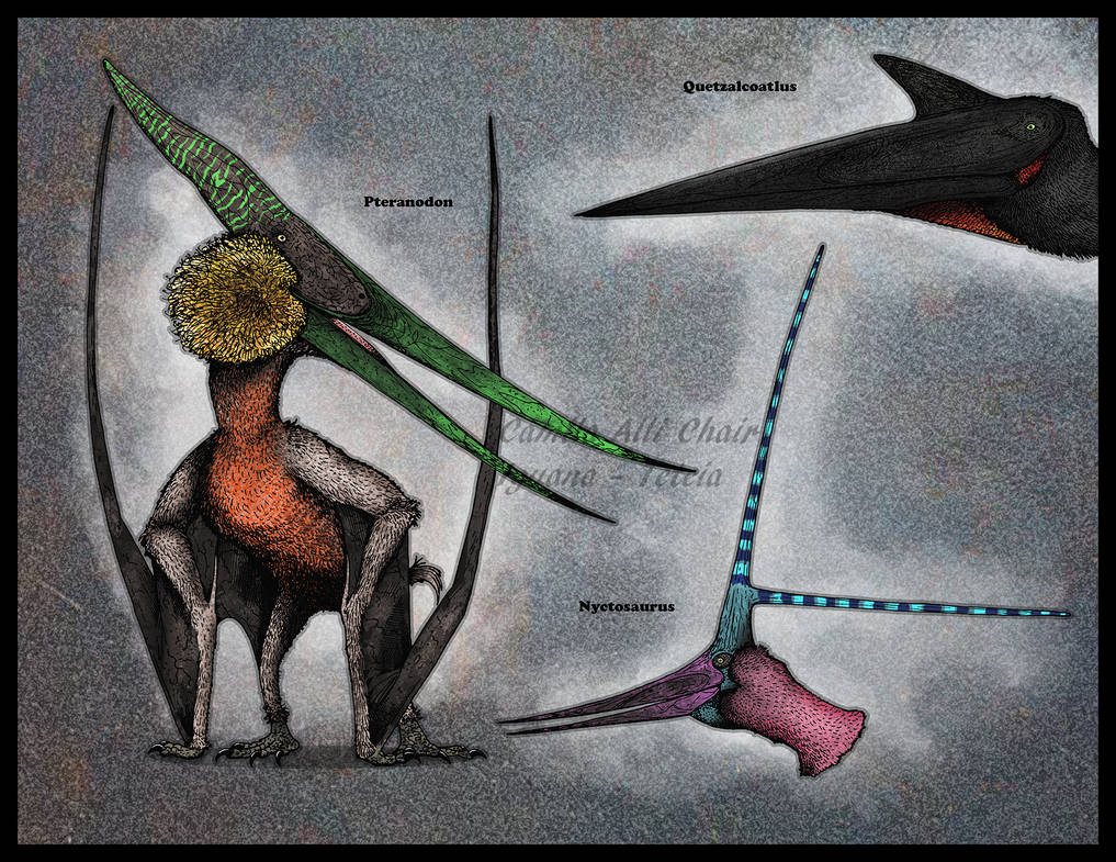 Weird Scissorheads by FreakyRaptor on DeviantArt