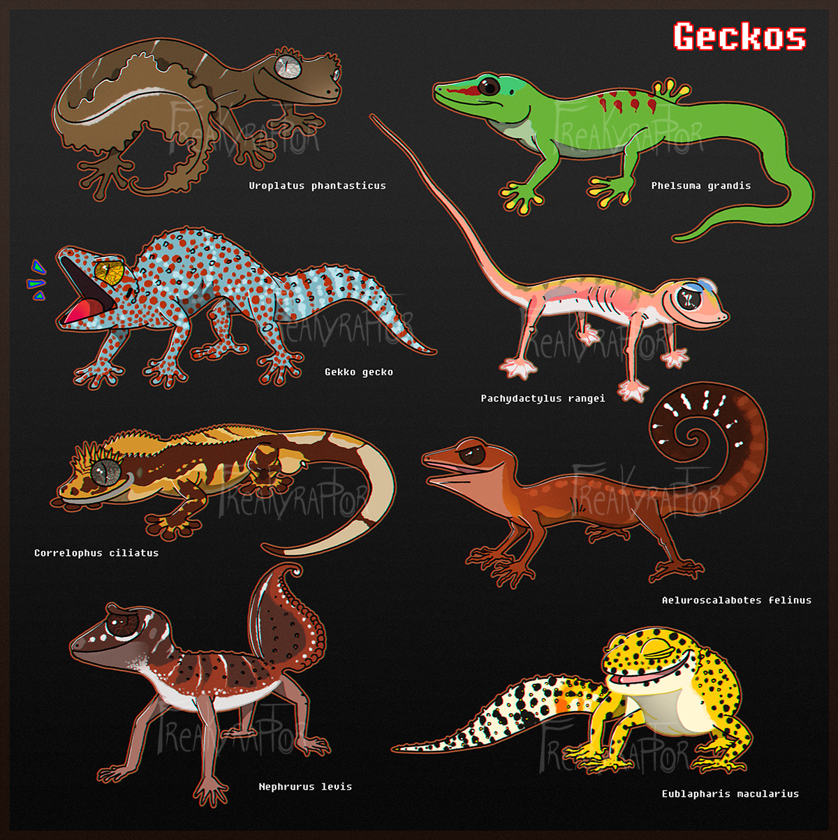 Gecko Rbcs Some Geckos by FreakyRaptor on DeviantArt