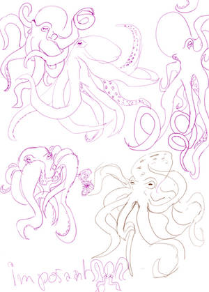 Octopuses Sketch