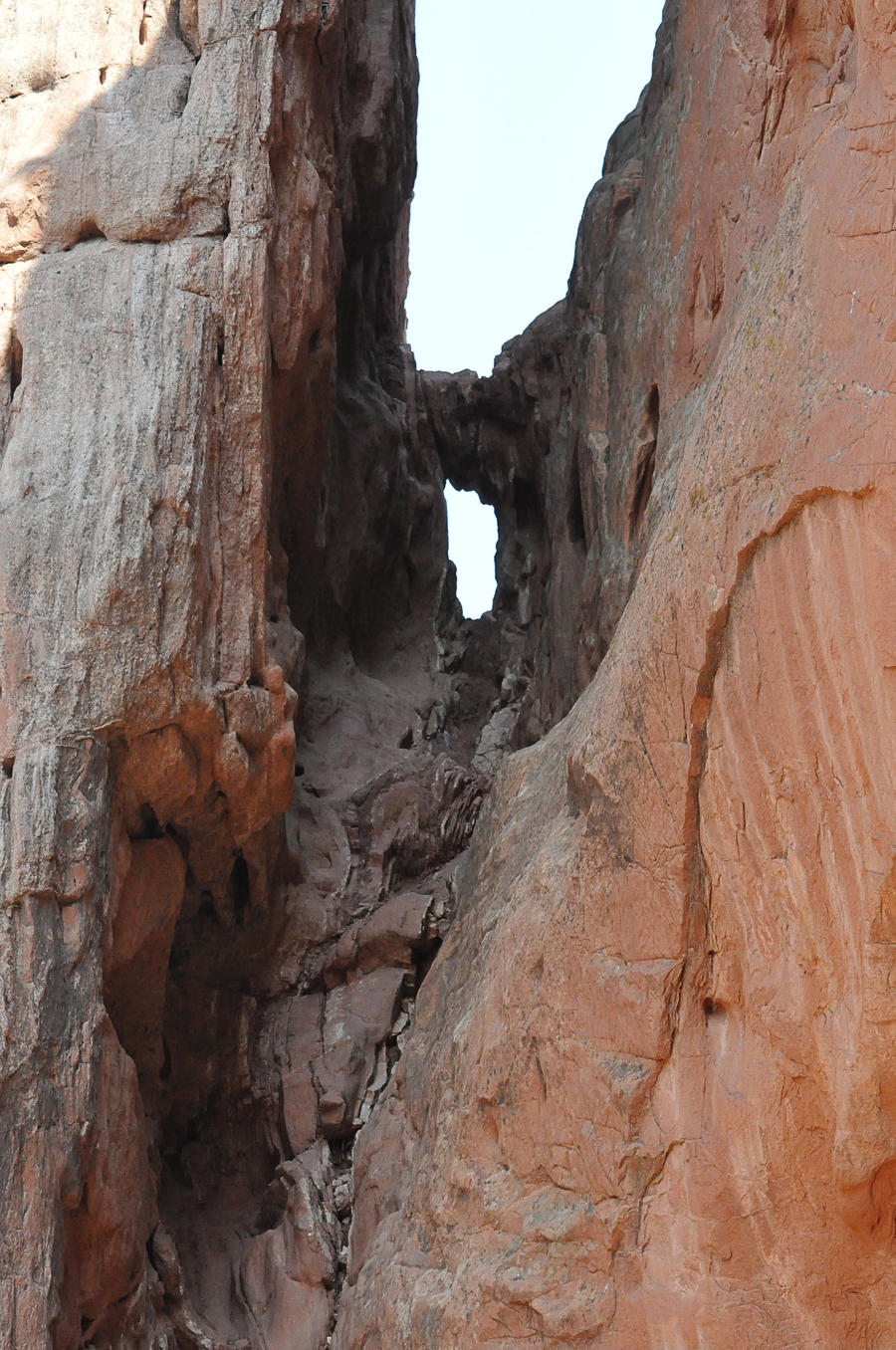 Garden of the Gods 3