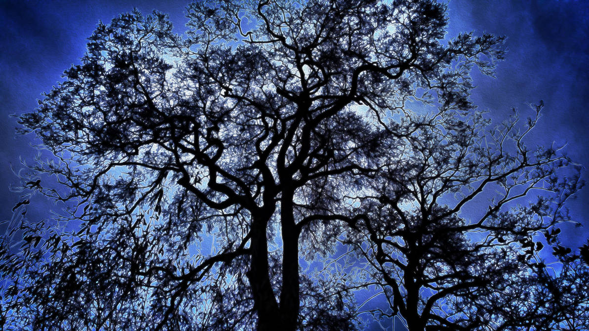 Shadow Tree by VKriss on DeviantArt