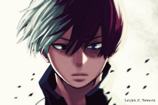 Todoroki by Leylek-d-Sovura