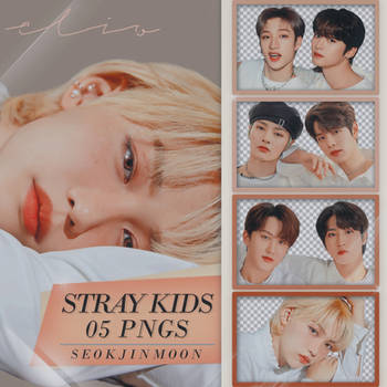 PNG PACK 003: STRAY KIDS (CLIO)