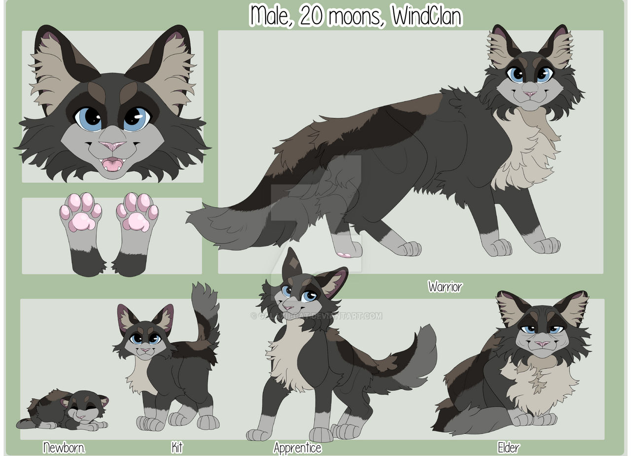 Warrior Cats OC Ref Sheet by Galaxiicat on DeviantArt