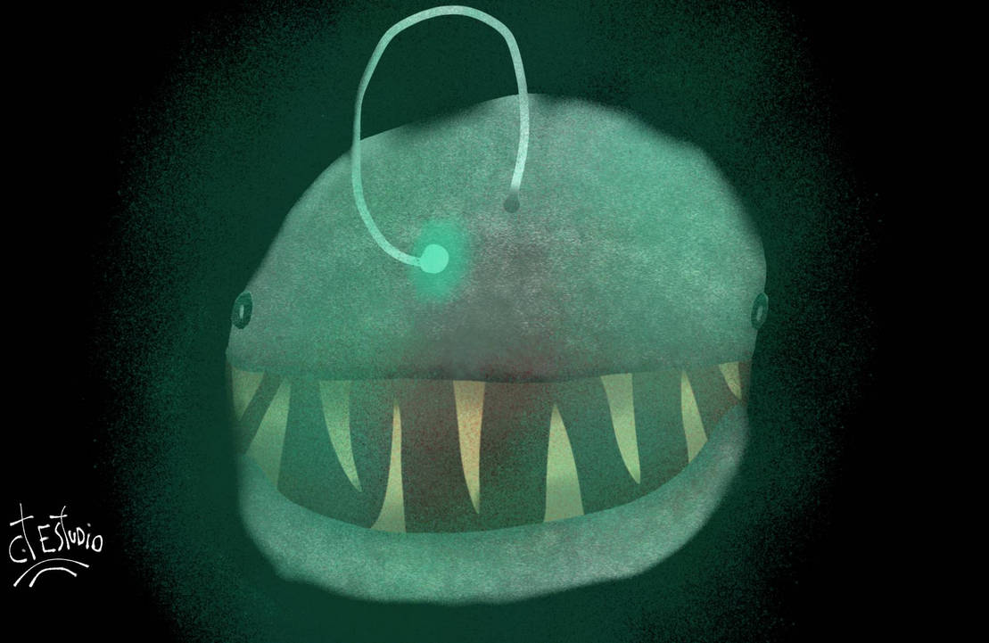 Angle fish by carnotaurotv on DeviantArt