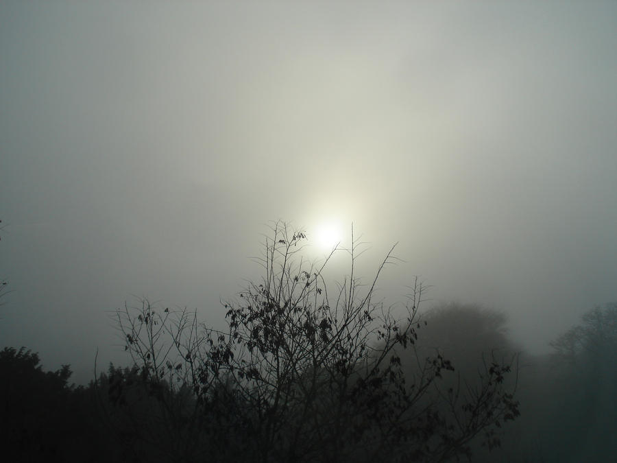 Cold Sun by The-Dark-Bard on DeviantArt