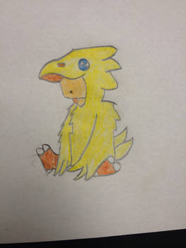 Another Chocobo. I call him my Chocobro.