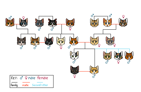 Sunstorm | Family Tree | TWG