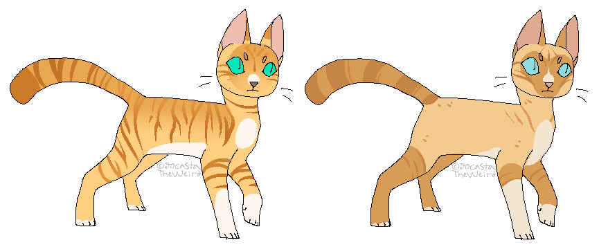 HYPOKITS || Pheasantleopard and Viperfrost