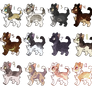 Kitten Adoptables || closed