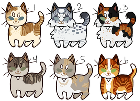 Warrior Cat Adoptables || 1 open, reduced