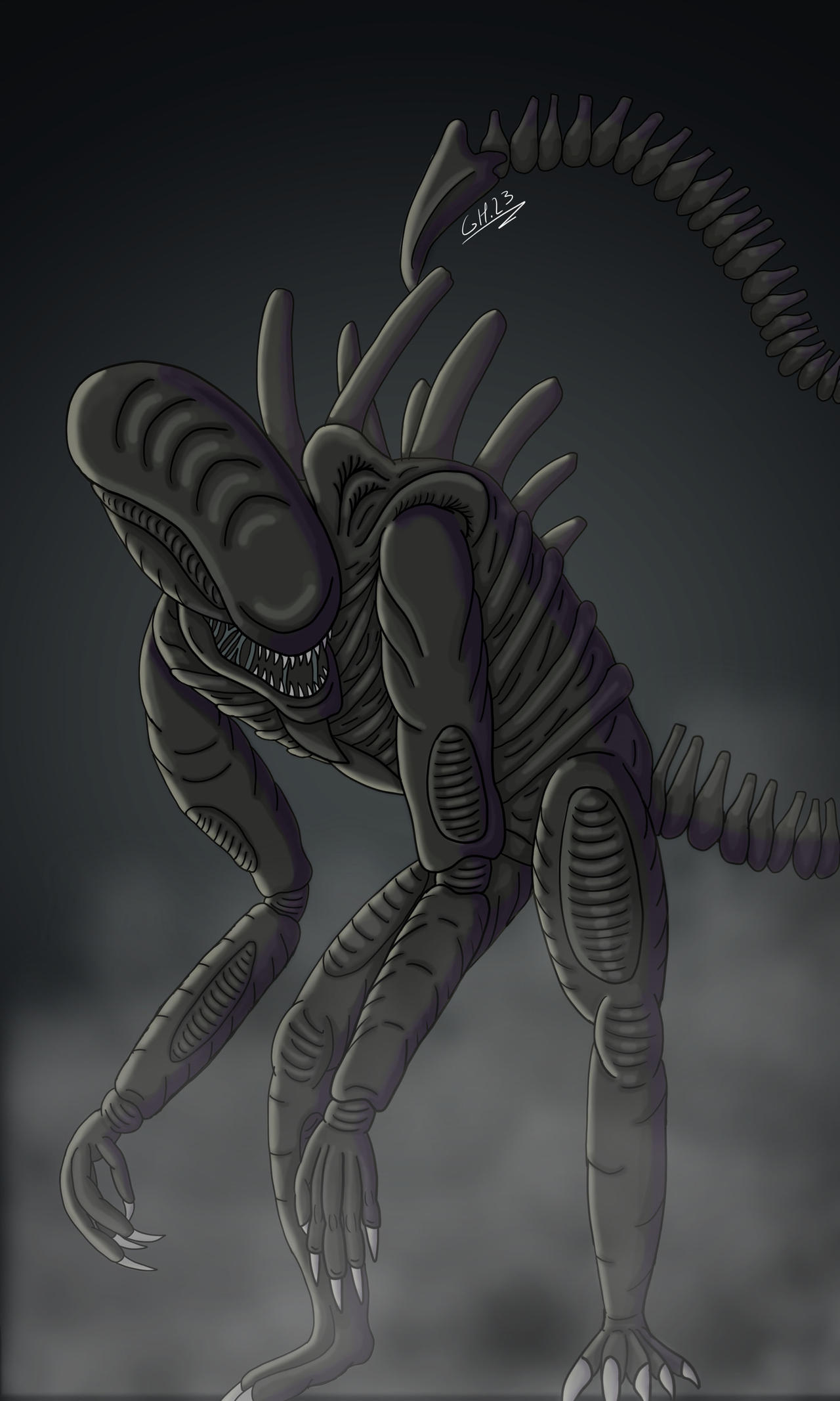 Xenomorph