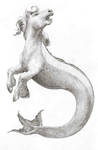 Hippocamp by Tabon