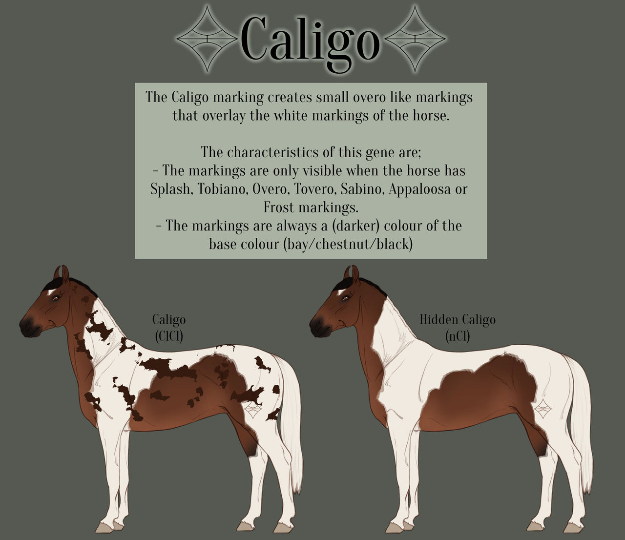 Limartio Markings || Caligo by Limartio-Admin on DeviantArt