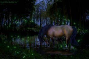 Come Walk Through The Swamp With Me... by CrystalSong-Acres