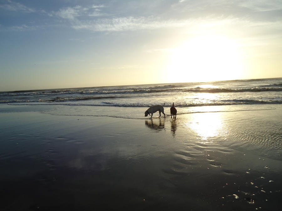 beach walk