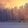 Winter Wonderland