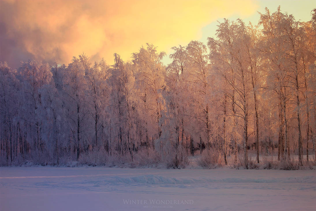 Winter Wonderland by Jscenery