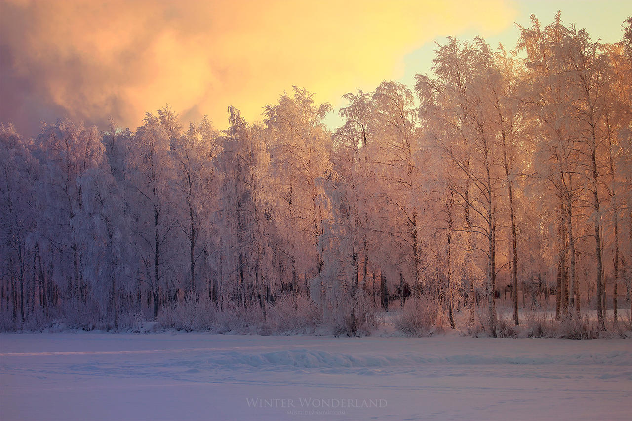 Winter Wonderland by Jscenery