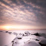 Frozen beach