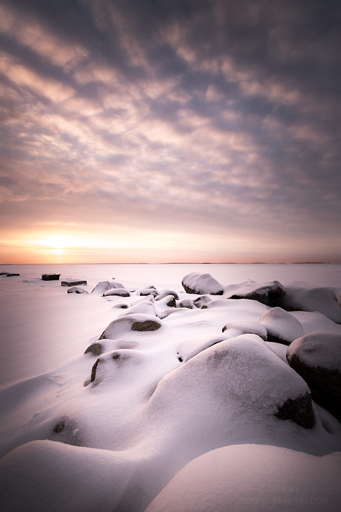 Frozen beach