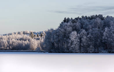 Hoarfrost