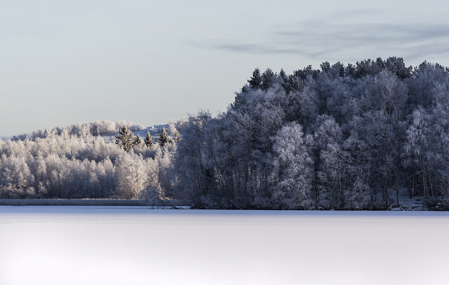 Hoarfrost by Jscenery