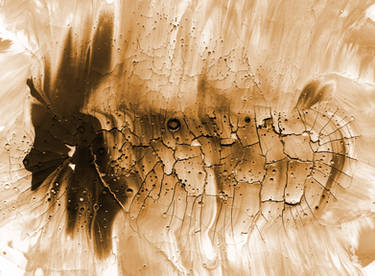 2004fracture Sepia