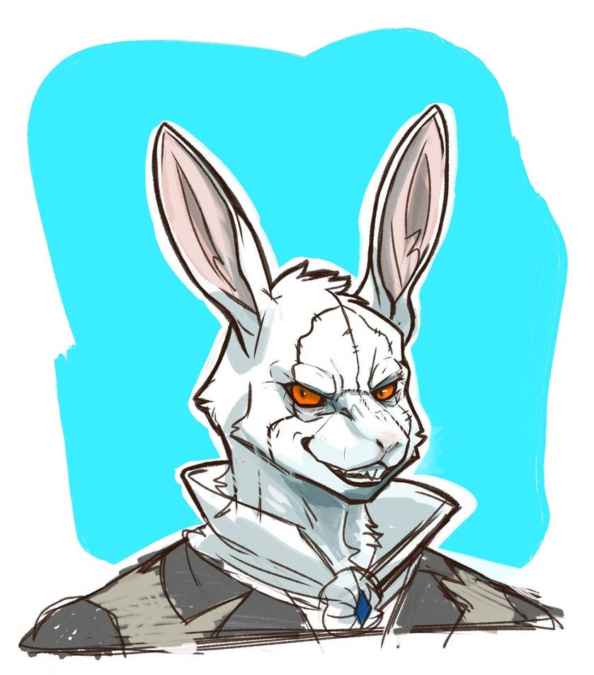 White rabbit by SaKaRy on DeviantArt