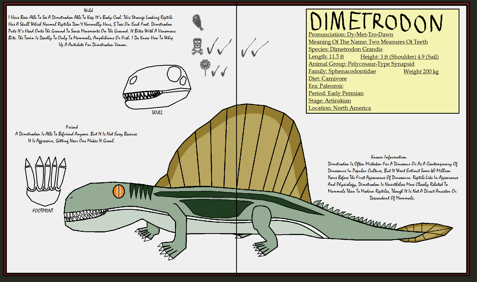 Dimetrodon : taille, description, biotope, habitat, reproduction