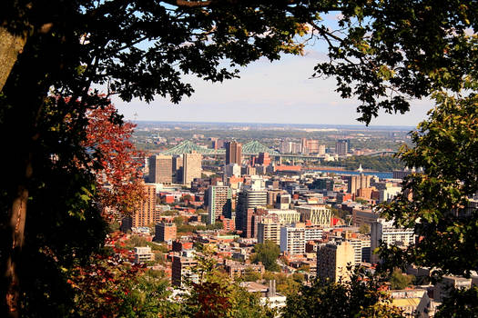 Vitrine sur montreal