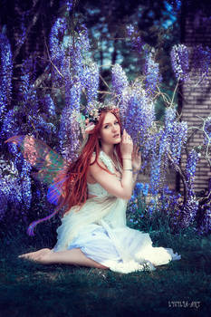 wisteria fairy