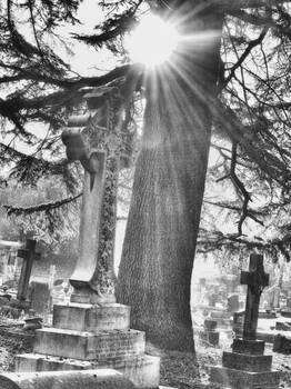 Graveyard Sun