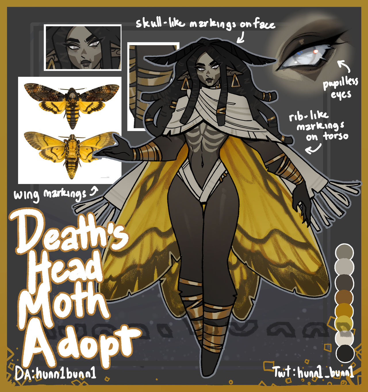 Moth Madness #1