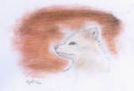 White Fox by Angel123dino