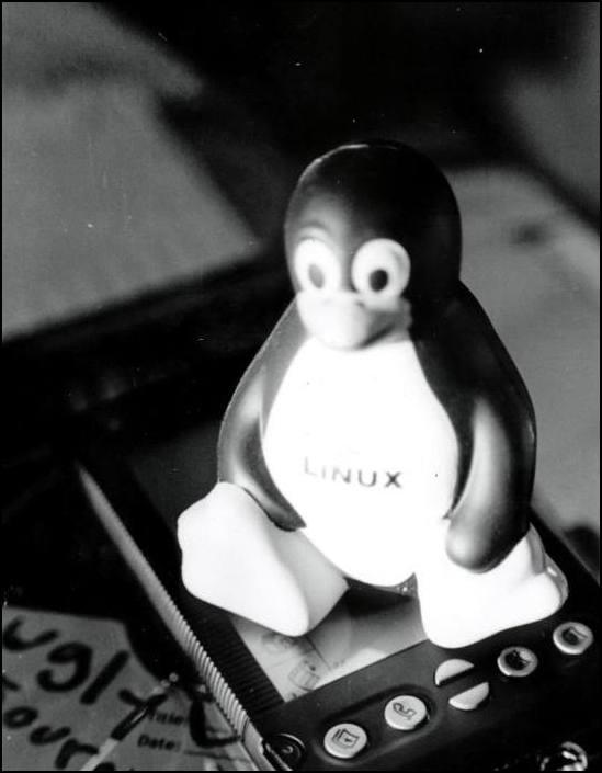 Linux Penguin by redbull07 on DeviantArt