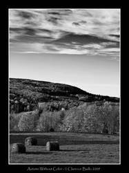 Autumn BW -Framed-