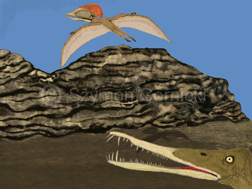Brazilan pterosurs