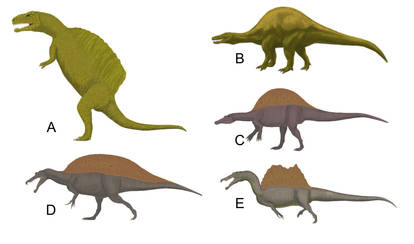 Spinosaurus reconstructions from Gornicki 2015