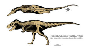 Tarbosaurus bataar skeleton