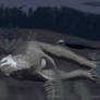 Sleeping Pachycephalosaurus