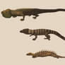 Restoration of Mantell and Scharf dinosaurs (1833)