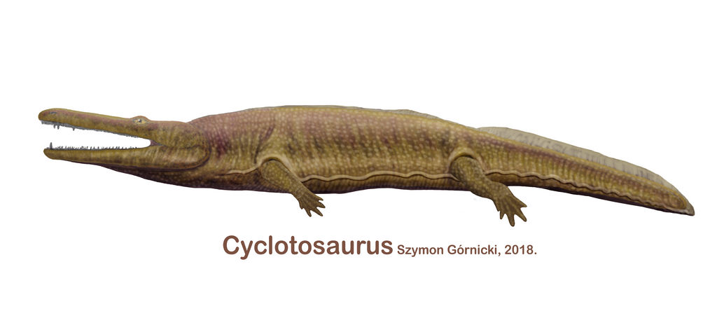 Cyclotosaurus by Szymoonio