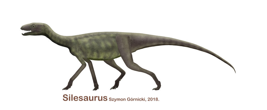 Silesaurus 2018 by Szymoonio